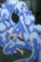 Bokep MonMusu Quest! Episode 1: Petualangan Hentai yang Menggoda